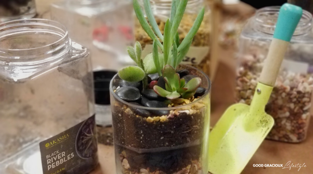 Indoor Plants Help Reduce Stress? I’m Making a Terrarium